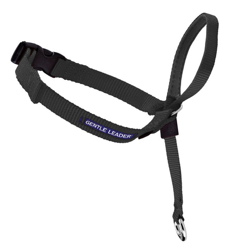 PetSafe Gentle Leader Headcollar Medium Black - Poudre Pet and Feed Supply